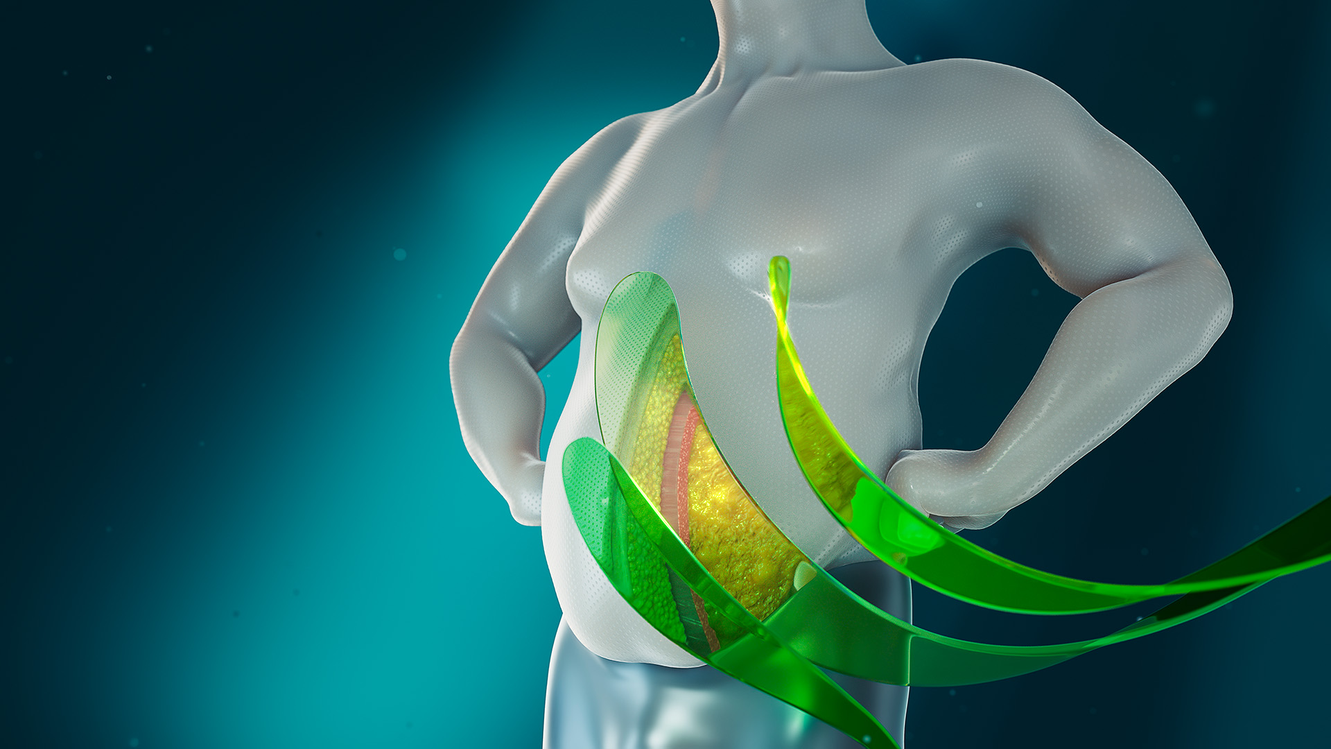 Gimmi Keyvisuals Bariatrie Gimmi Keyvisuals Bariatrie Bauch