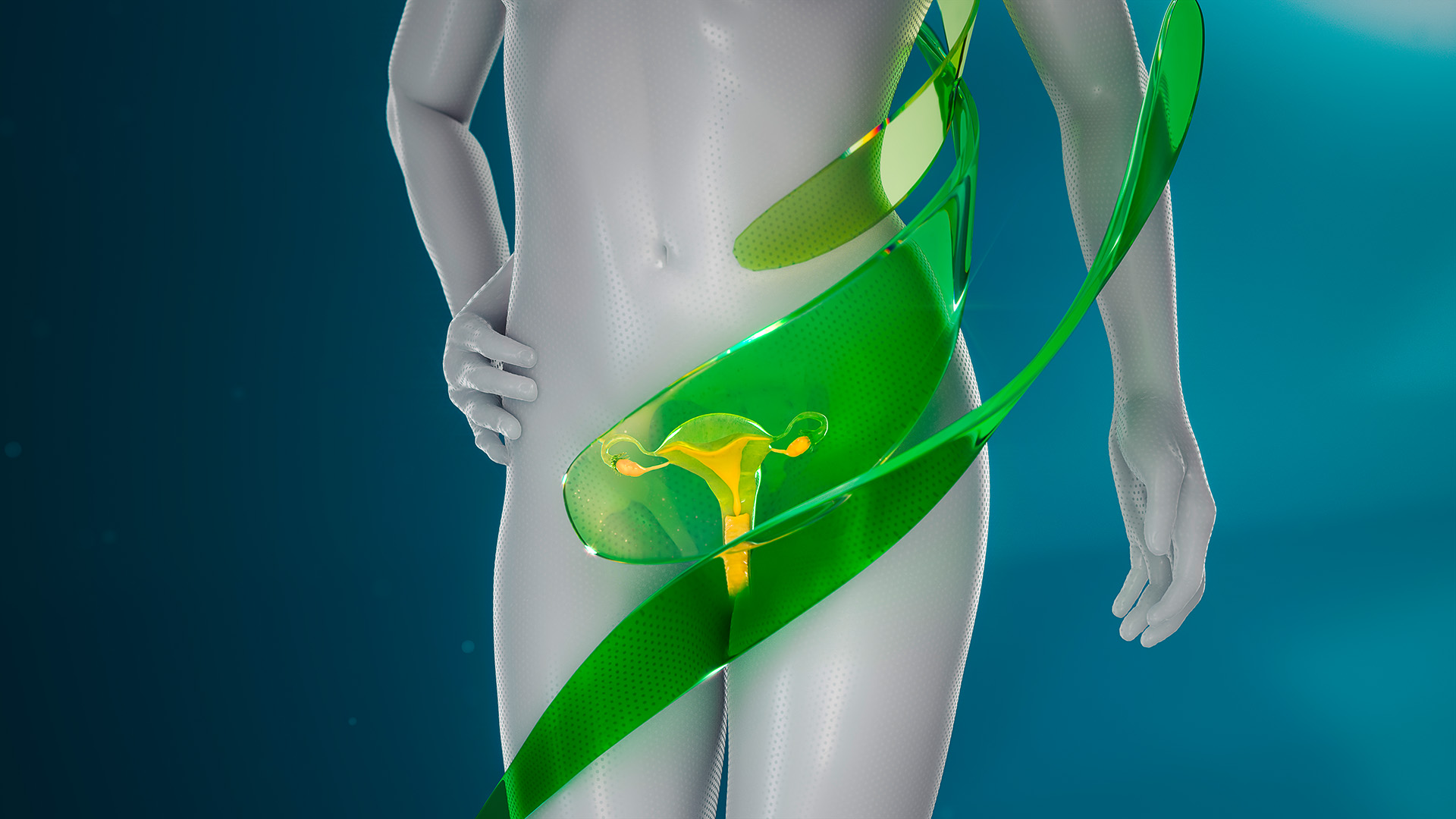 Gimmi Keyvisuals Gynäkologie Gimmi Keyvisuals Gynäkologie weibliche Organe