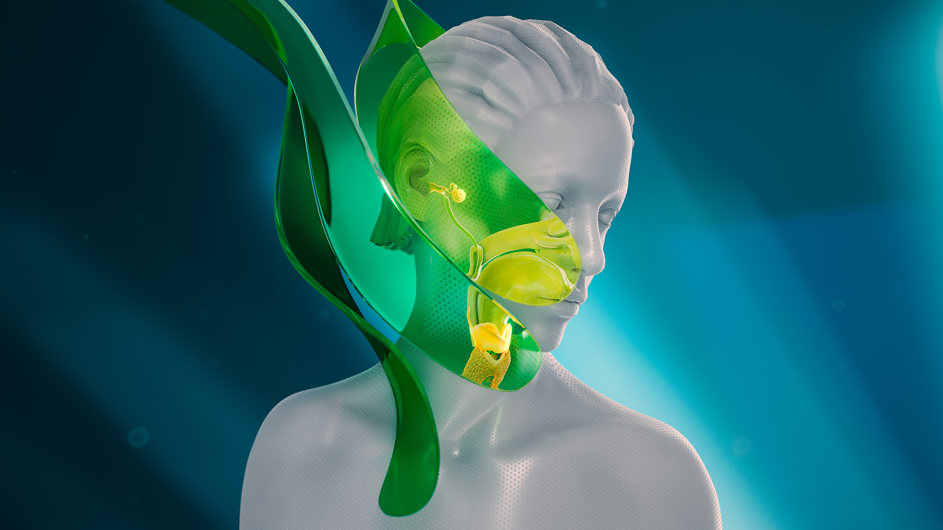 Gimmi Keyvisuals HNO Mund-Nasenraum Gimmi Keyvisuals HNO Mund-Nasenraum