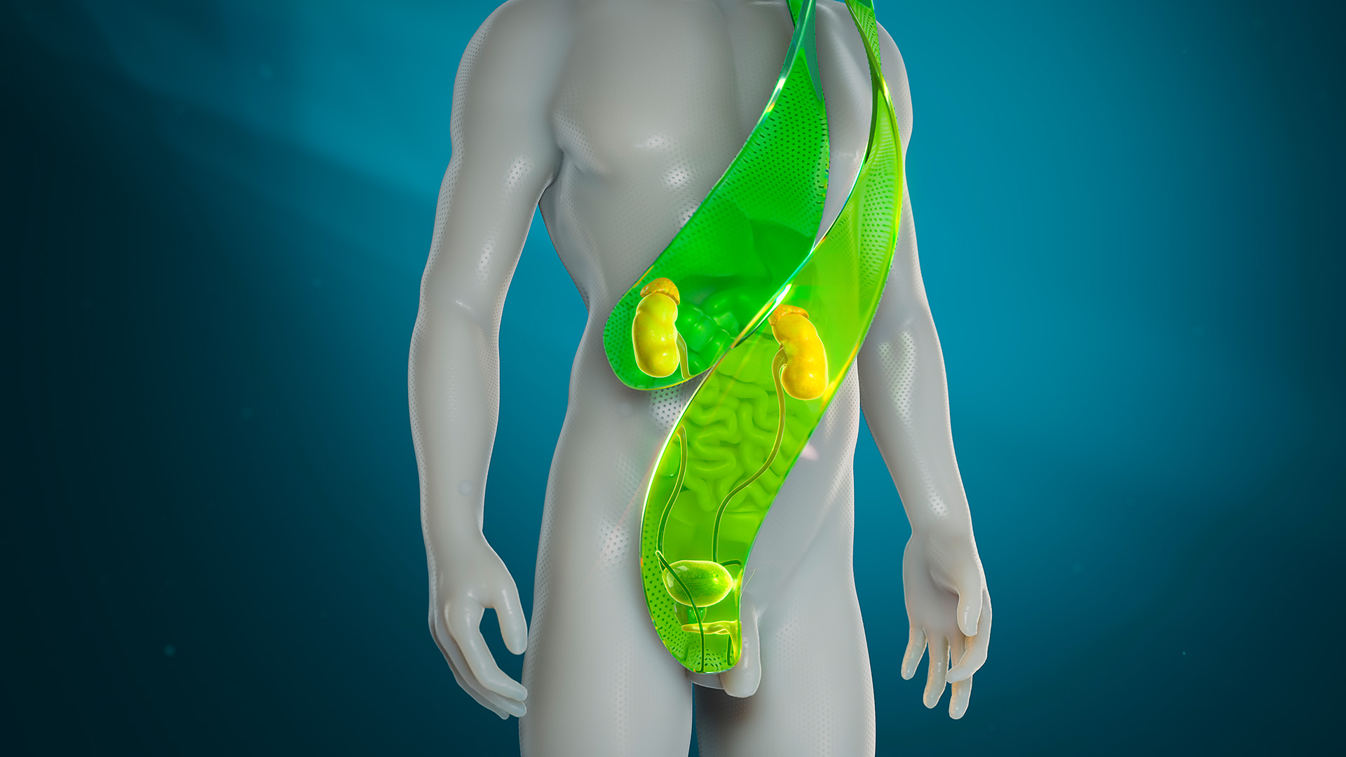 Gimmi Keyvisual Urologie Gimmi Keyvisual Urologie