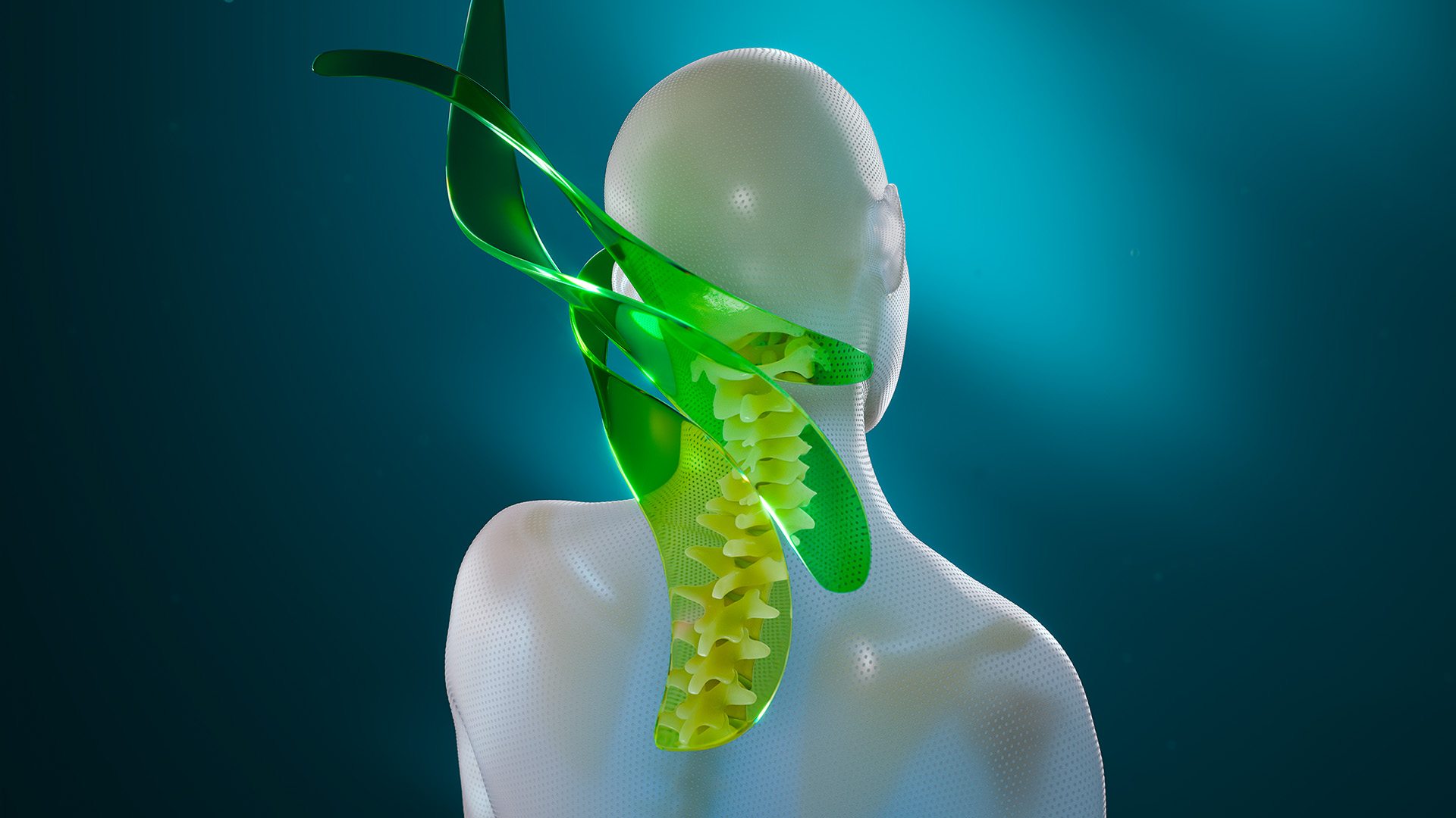 Gimmi Keyvisual Wirbelsäule Gimmi Keyvisual Wirbelsäule von hinten