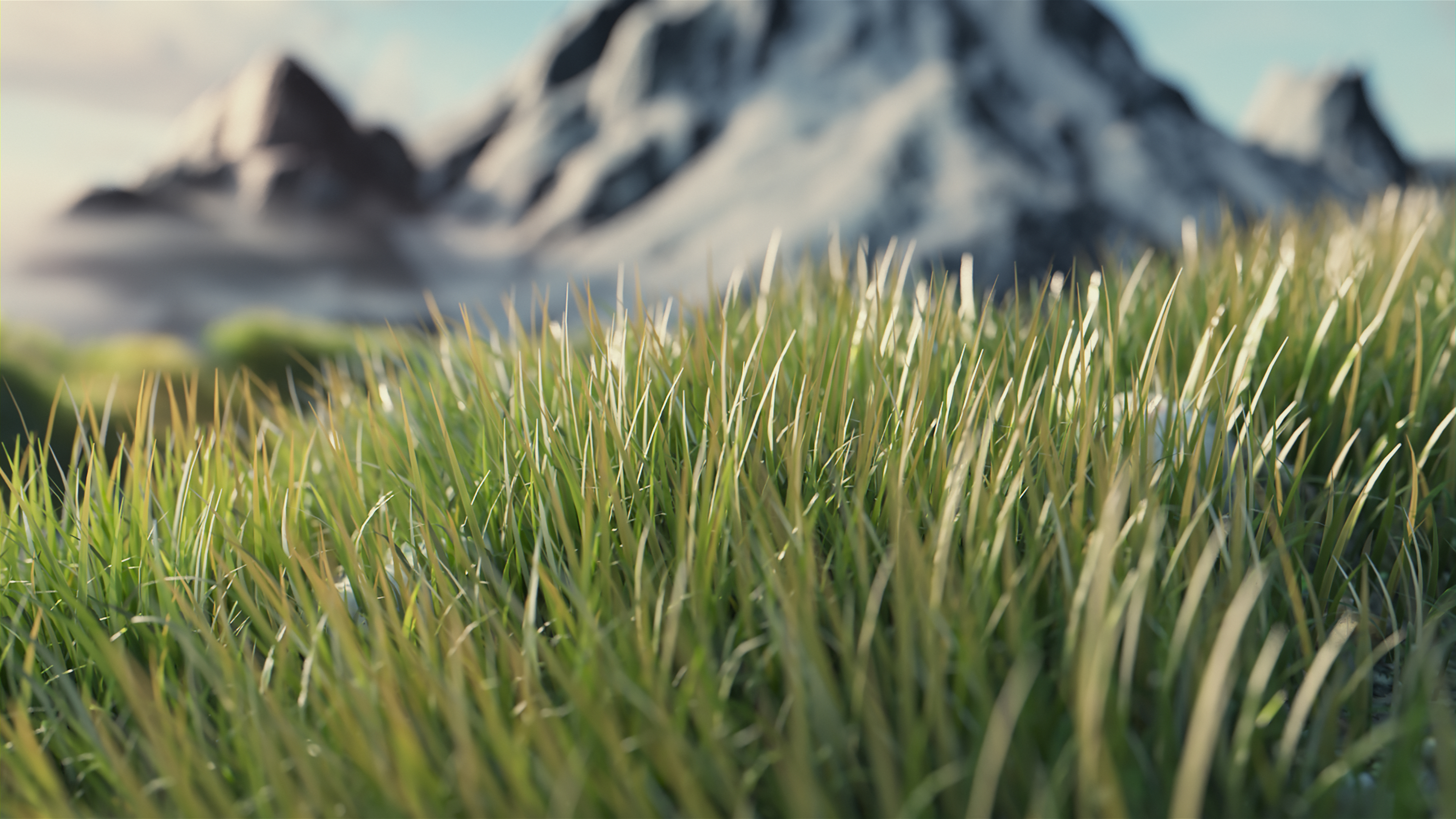 Hunkeler Imagefilm Green Line Concept Wiese 3D Rendering einer Blumenwiese in den Bergen