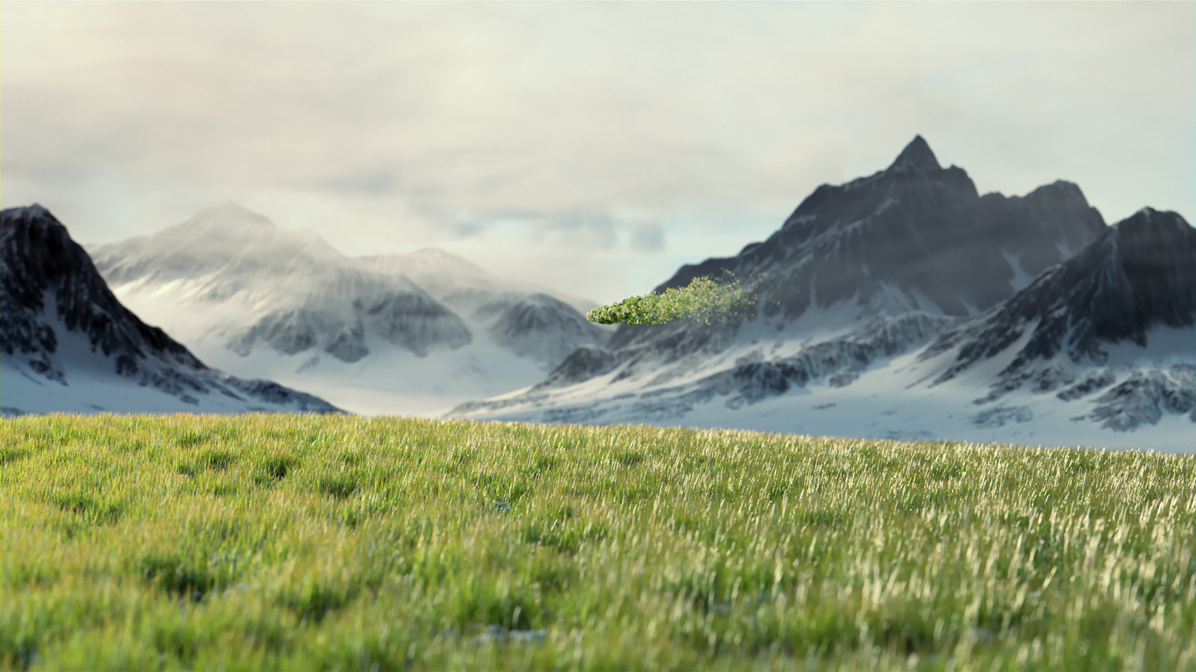 Hunkeler Imagefilm Green Line Concept Bergwiese 3D Animation von fliegenden Partikeln über einer Bergwiese